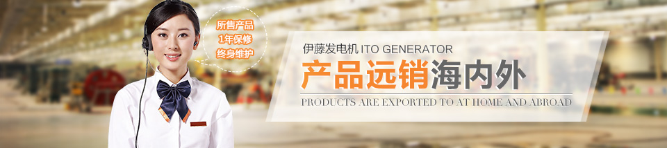 發(fā)電機(jī)技術(shù)咨詢