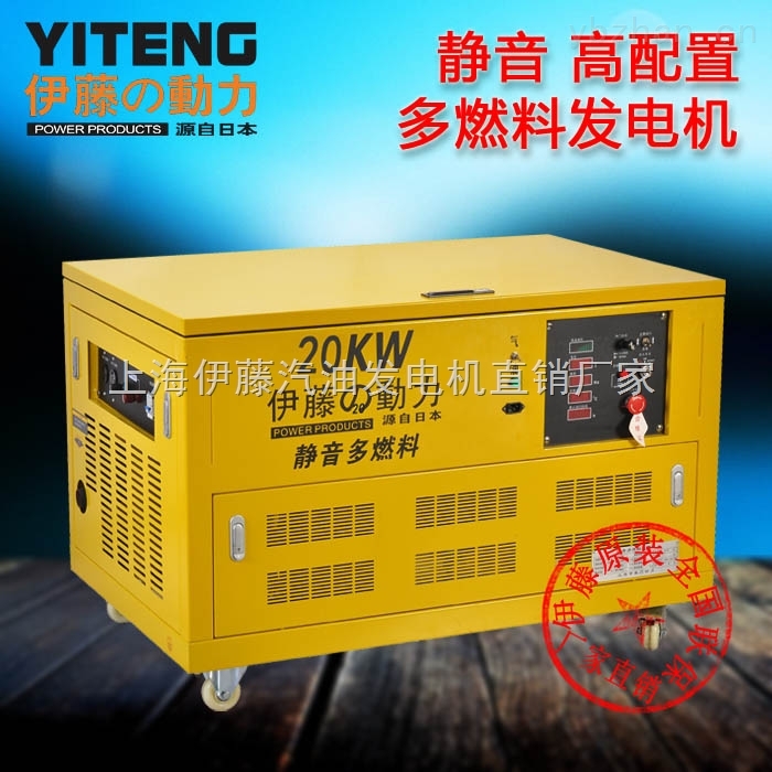 20KW多燃料發(fā)電機 20KW多燃料發(fā)電機